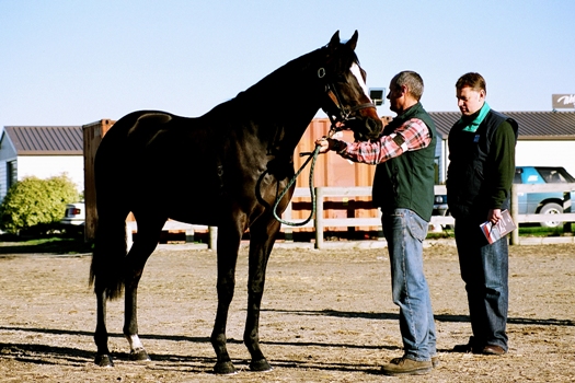 Lot 9 Pentire-Sailing High 1